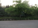 Picture 7127