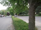 Picture 7129