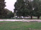 Picture 7131