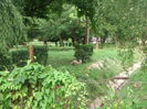 Picture 7132