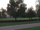 Picture 7133