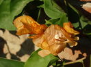 DSC03348