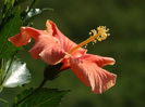 DSC03337