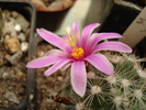 DSC09440