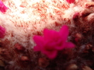 DSC09478