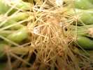 DSC09479