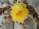 DSC09495
