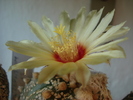 DSC09500