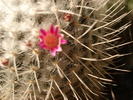 DSC09503