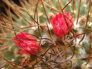 DSC09504