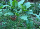 P1040248