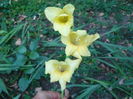 P1040240