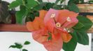 20150810_110543