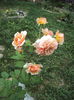 DSC03469