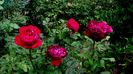 DSC01219