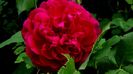 DSC01268