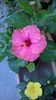 WP_20150725_002