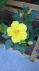 WP_20150725_003