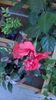WP_20150725_005