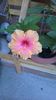 WP_20150725_006