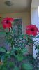 WP_20150725_008