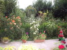 IMGP8978