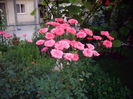 IMGP8980