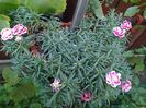 IMG_20150812_064218
