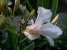 IMG_20150812_063628