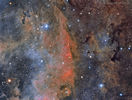 barnard344_vanderHoeven_960