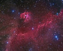 IC2177v4_miller950