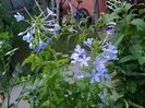 IMG_20150812_063611