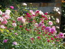 10 aug 078