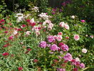 10 aug 089