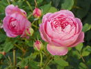 Jubilee Celebration