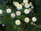 10 aug 075
