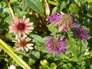 10 aug 076