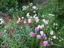 11 aug 010