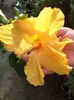 DSC04636