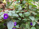 DSC04638