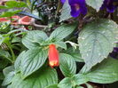 DSC04639