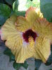 DSC04646