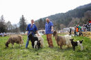 Toggenburg si Walliser-43g
