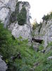 IMG_0543 - Copy