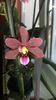 20150805_121717[1]