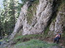 IMG_0545 - Copy