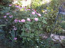 DSC03813