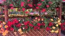 WP_20150813_10_13_29_Pro