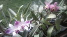IMG_20150525_053120