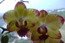 DSC08191